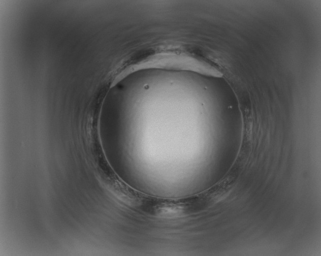 X0000067910263200604201412