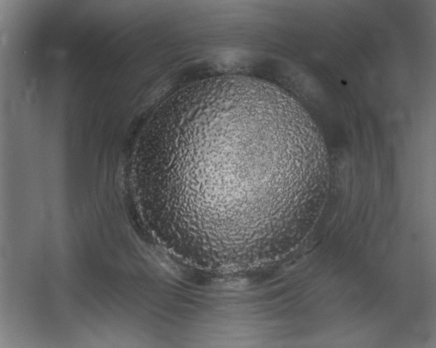 X0000067910266200604201412