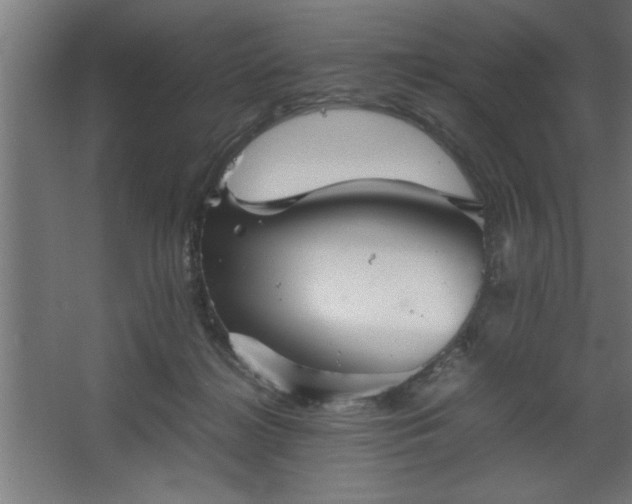 X0000067910268200604201412