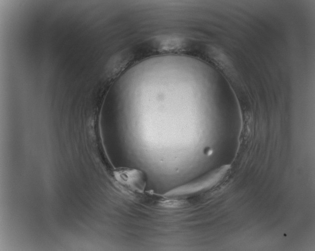 X0000067910269200604201412