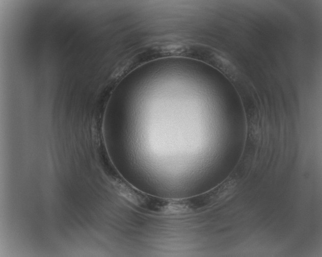 X0000067910270200604201412