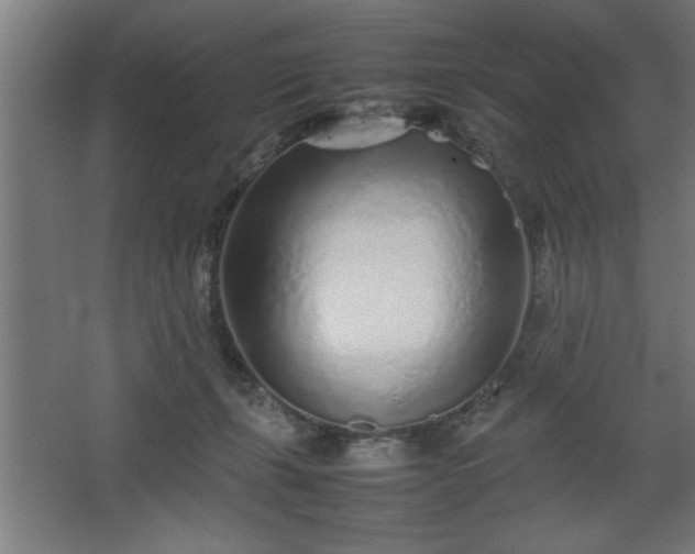 X0000067910271200604201412