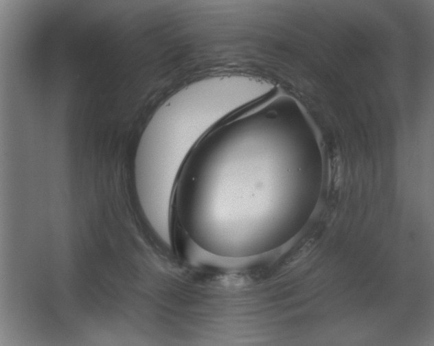 X0000067910272200604201412