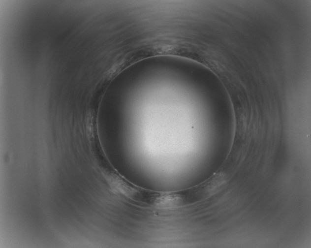 X0000067910274200604201412