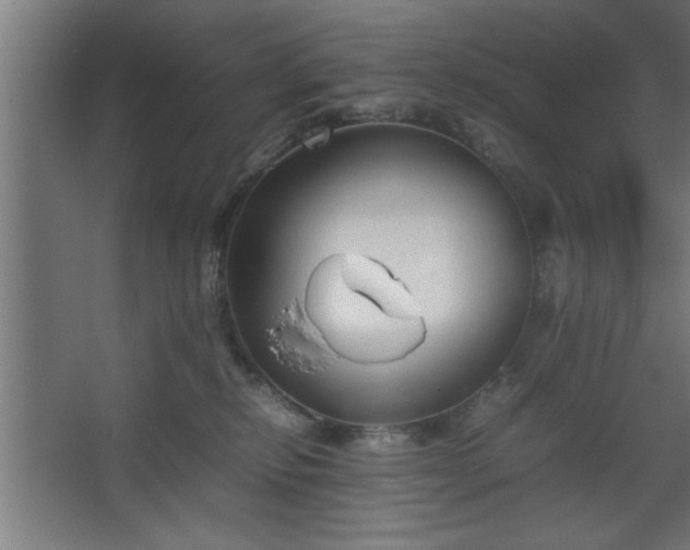 X0000067910278200604201412