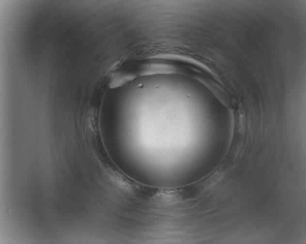 X0000067910280200604201412