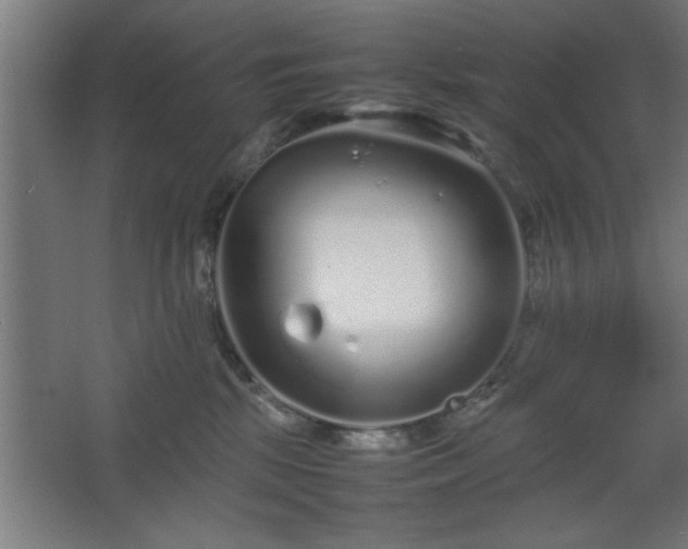 X0000067910281200604201412