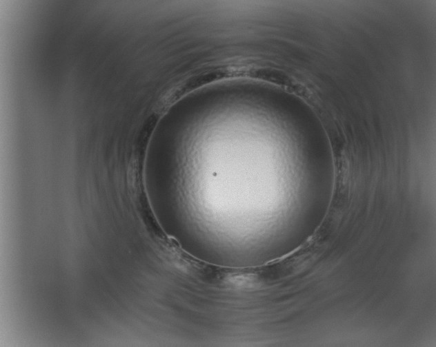 X0000067910283200604201412