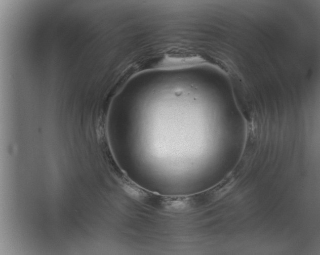 X0000067910285200604201412