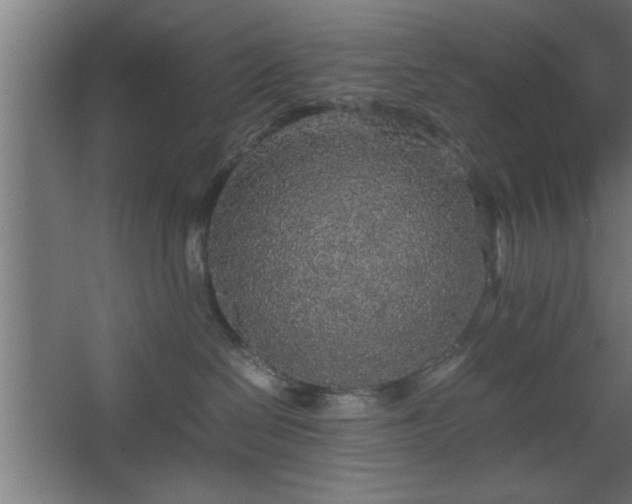 X0000067910286200604201412