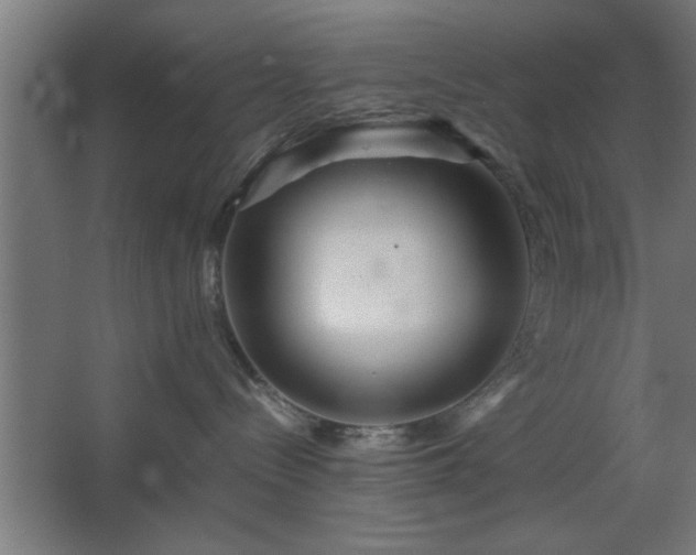 X0000067910288200604201412