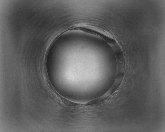 X0000067910289200604201412