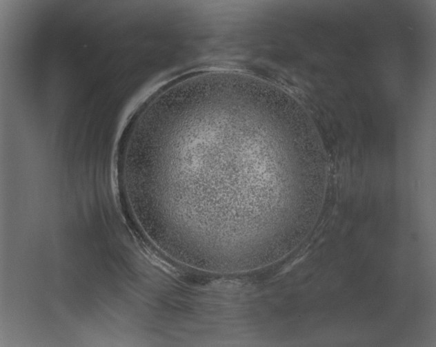 X0000067910294200604201411