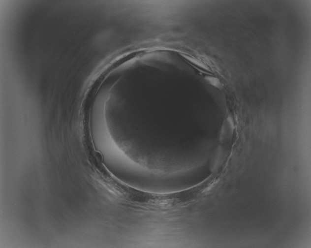 X0000067910295200604201411