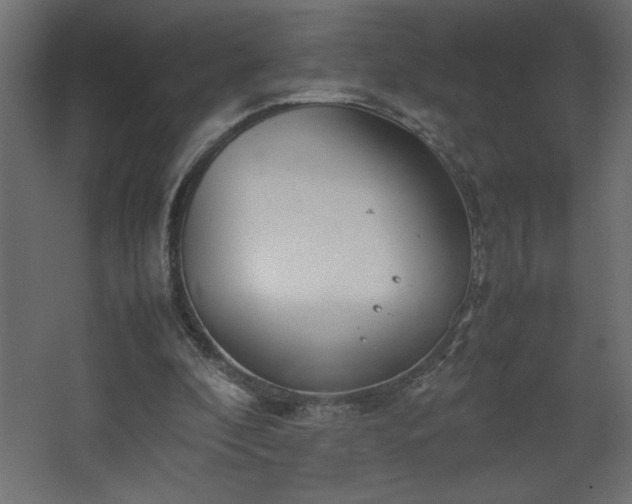 X0000067910296200604201411