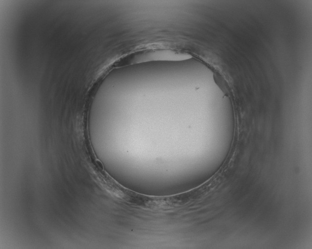 X0000067910297200604201411