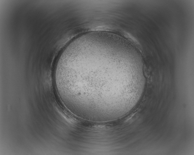 X0000067910298200604201411