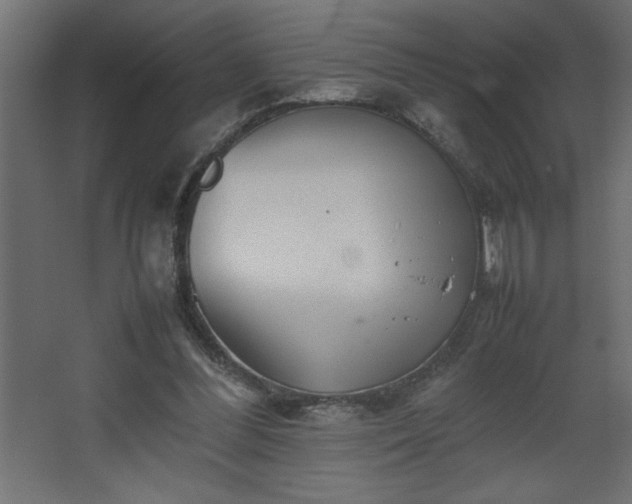 X0000067910300200604201411