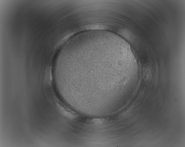 X0000067910302200604201411