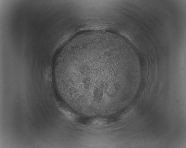 X0000067910303200604201411