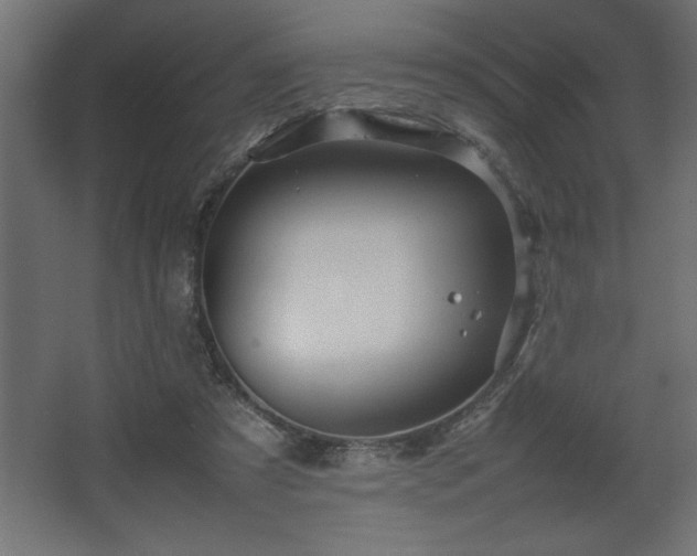 X0000067910305200604201411