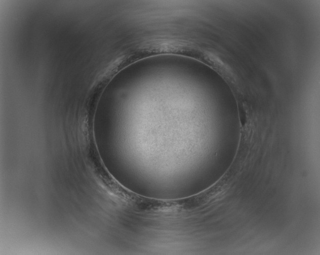 X0000067910306200604201411