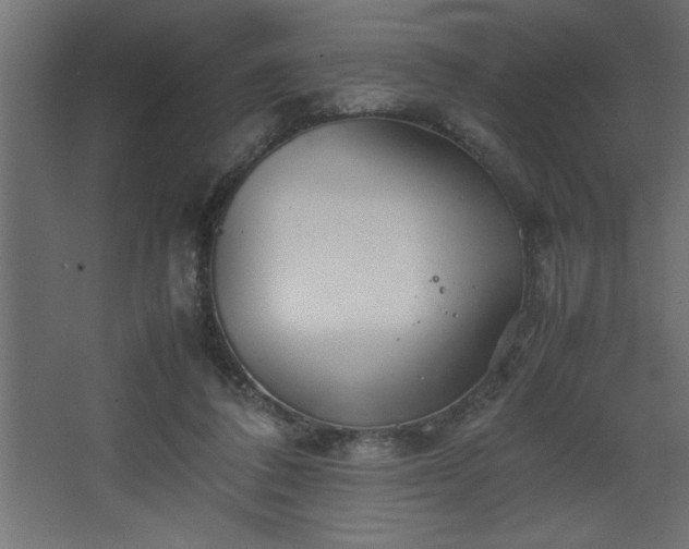 X0000067910308200604201411