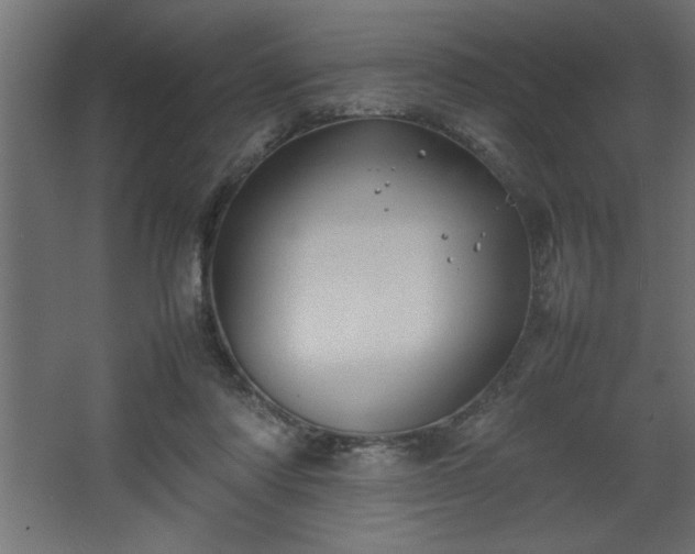 X0000067910310200604201411