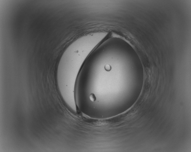 X0000067910313200604201411