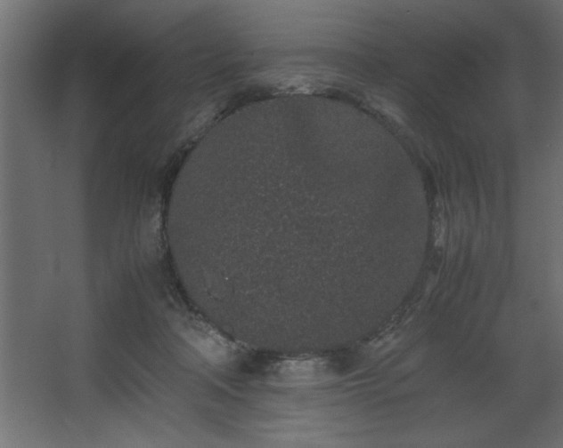 X0000067910314200604201411