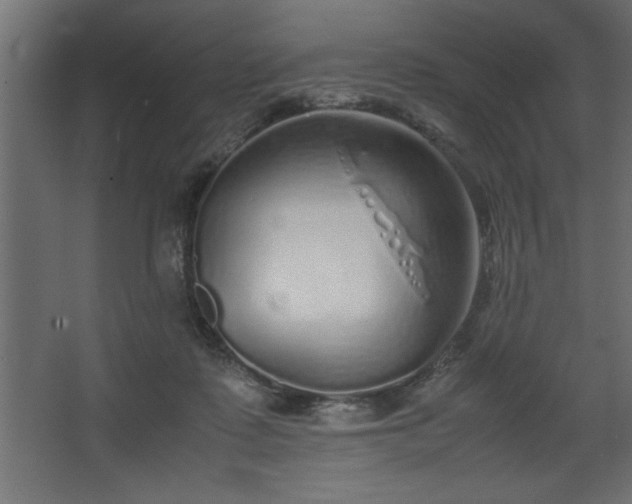 X0000067910315200604201411