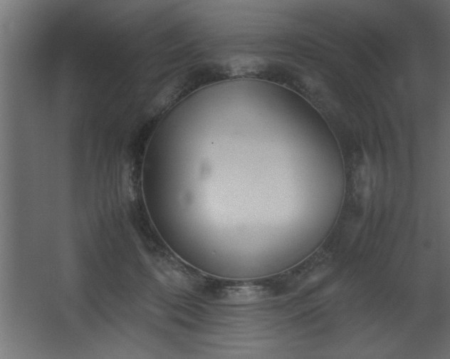 X0000067910316200604201411