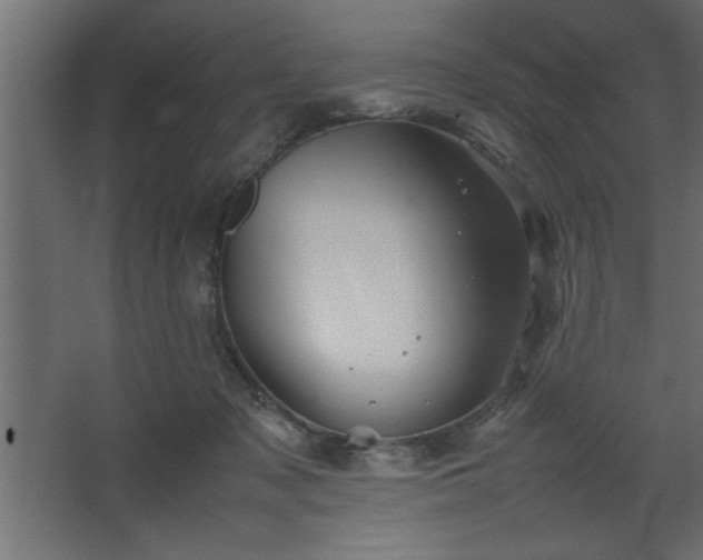 X0000067910317200604201411