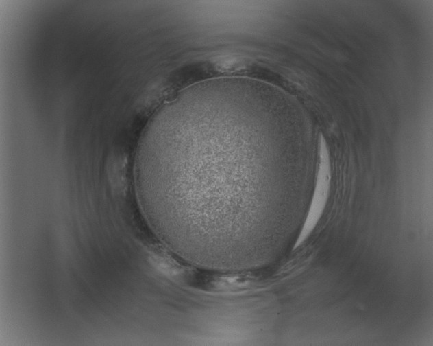 X0000067910319200604201411