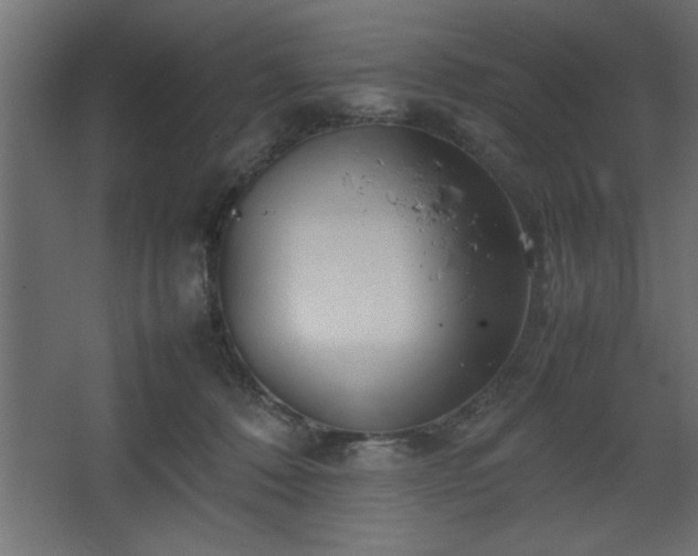 X0000067910320200604201411