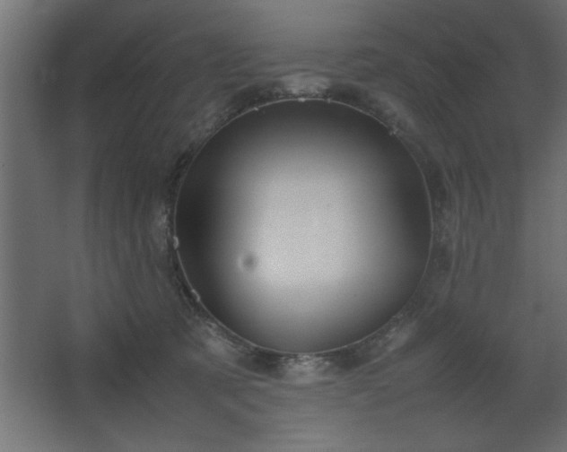 X0000067910321200604201411