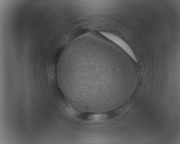 X0000067910323200604201411