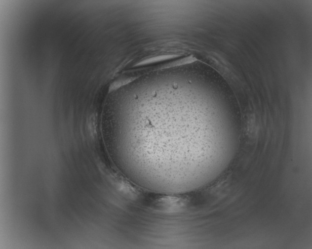 X0000067910326200604201411