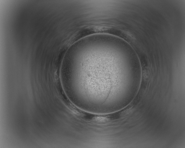 X0000067910327200604201411