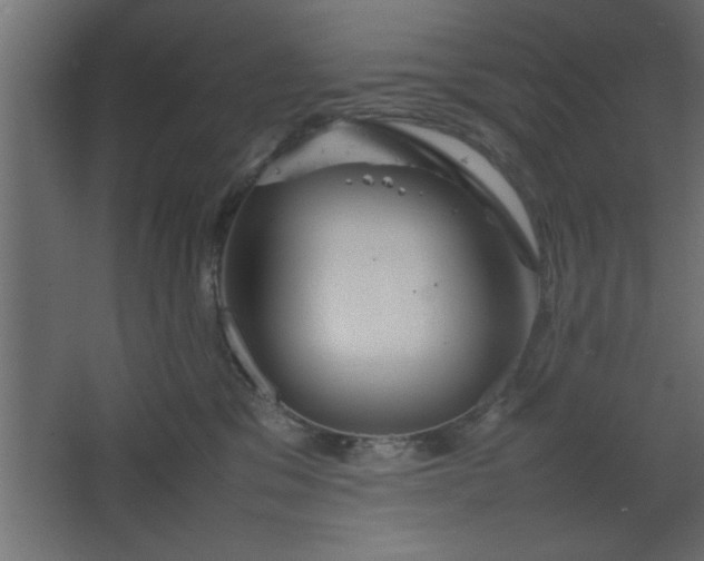 X0000067910329200604201411