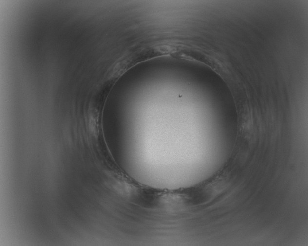 X0000067910332200604201411