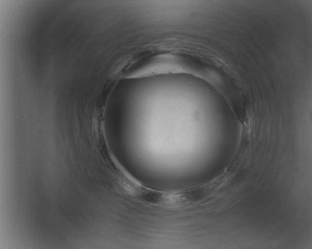 X0000067910333200604201411