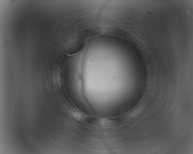 X0000067910336200604201411