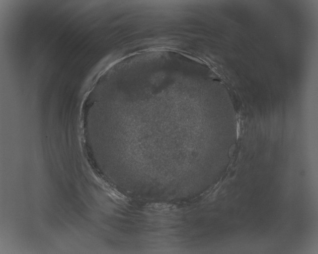 X0000067910339200604201410