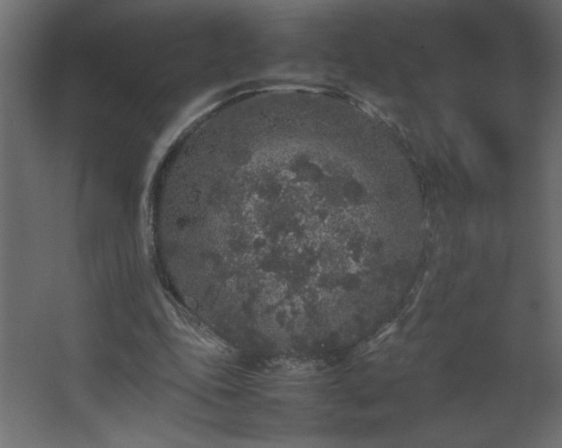 X0000067910343200604201410