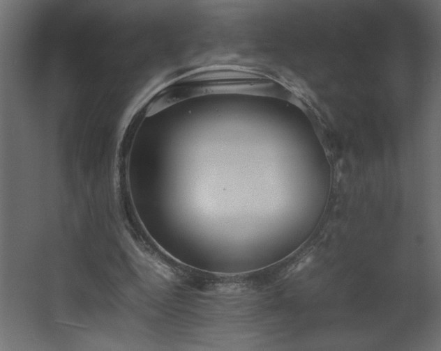 X0000067910344200604201410