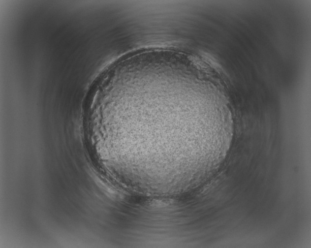 X0000067910346200604201410