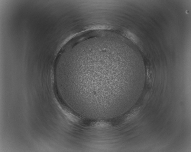 X0000067910348200604201410