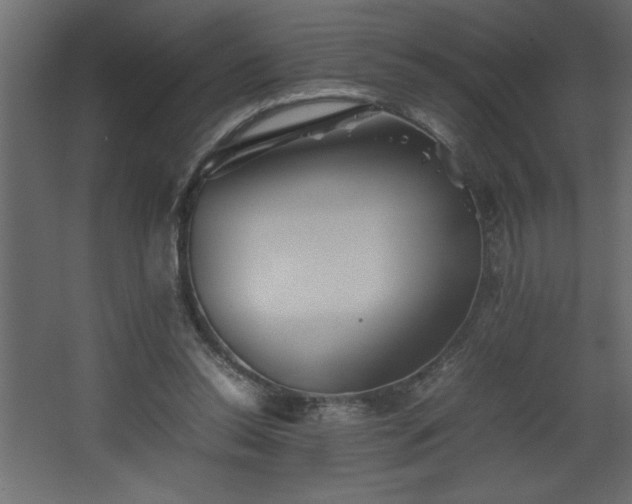 X0000067910350200604201410