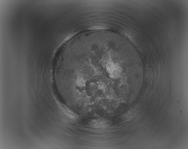 X0000067910351200604201410